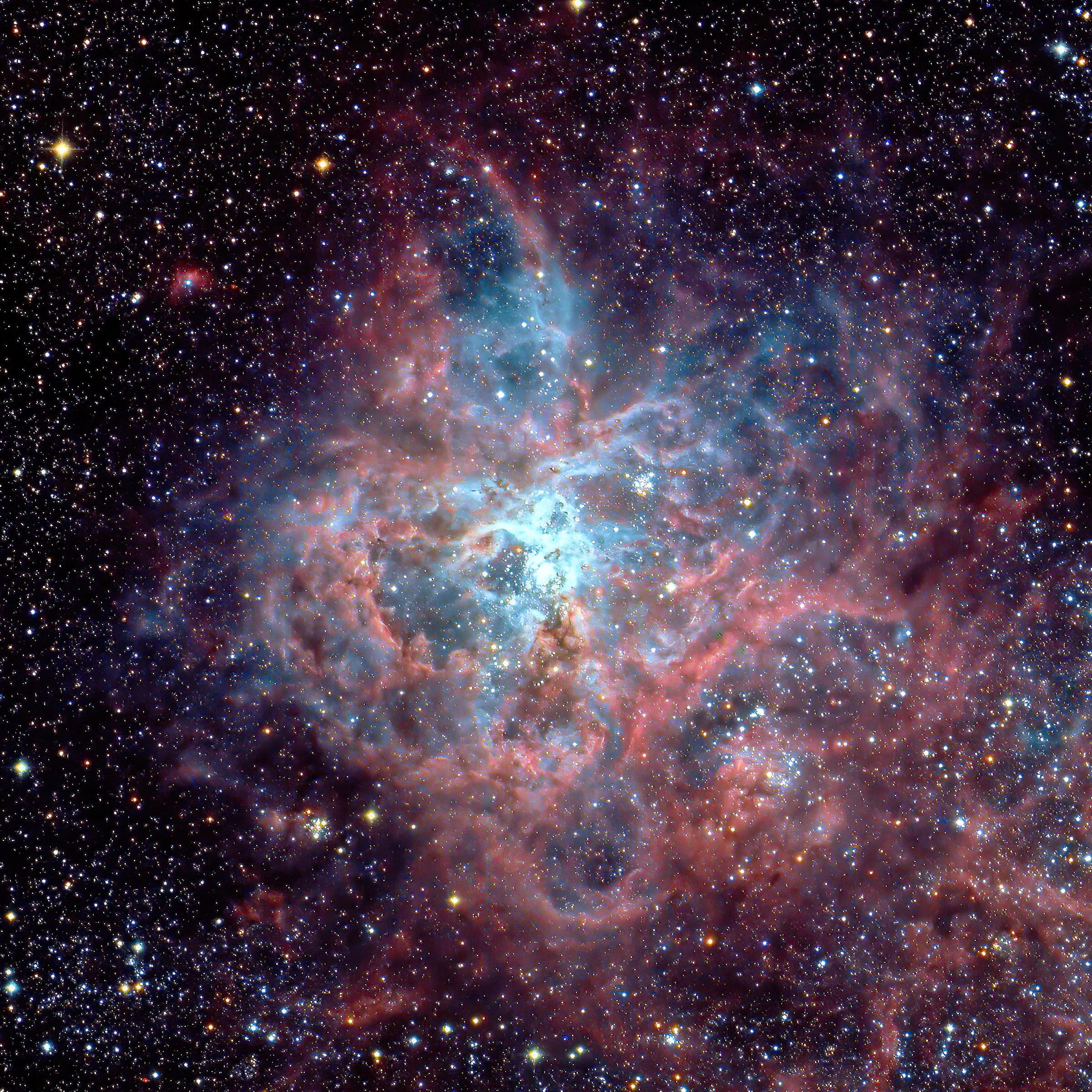 NGC2070 Tarantula Nebula | Telescope Live